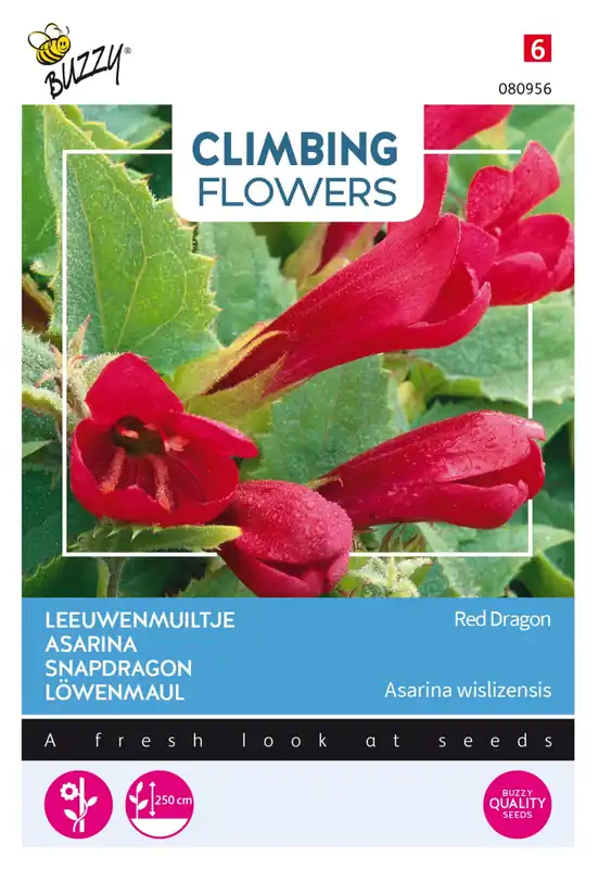 Bestseller | Buzzy® zaden - Climbing Flowers - Asarina, Leeuwenmuiltje Red Dragon