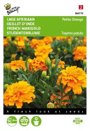 Sale | Buzzy® zaden - Tagetes, lage Afrikaan Petite Orange