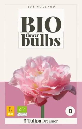 Erg populair | Biologische tulpenbollen ‘Dreamer‘ - 5 stuks