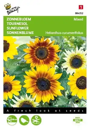 Bestseller | Buzzy® zaden - Helianthus, Zonnebloem gemengd