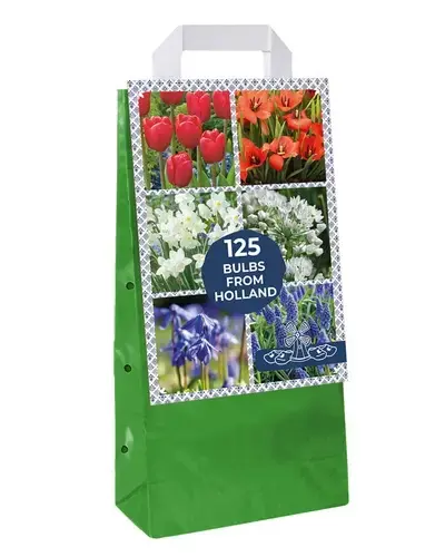 Favoriet van klanten - Draagtas Bulbs From Holland - 125 bloembollen