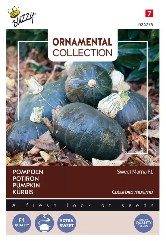 Buzzy® zaden - Ornamental Collection - Pompoen Sweet Mama F1 - Shop nu