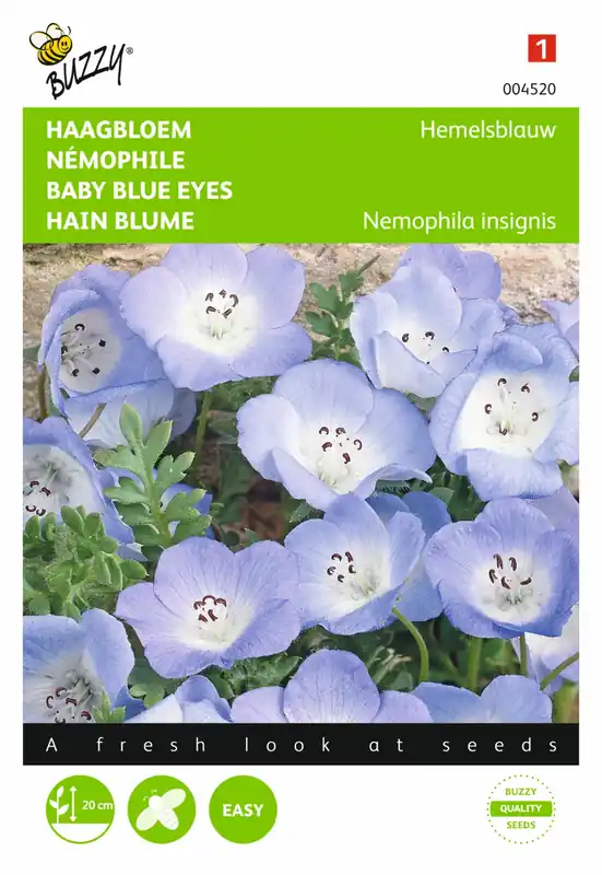 Buzzy® zaden - Nemophila, Haagbloem Hemelsblauw | Beste prijs
