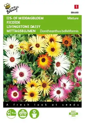 Online bestelbaar | Buzzy® zaden - Dorotheanthus, IJsbloem kleurenmengsel