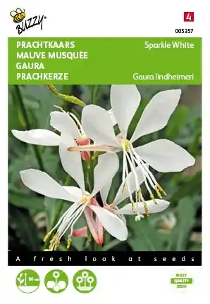 Buzzy® zaden - Gaura lindheimeri, Prachtkaars Sparkle White | Mis het niet