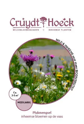 Cruydt-Hoeck Plukmengsel - Inheemse Bloemen Op De Vaas - Direct kopen