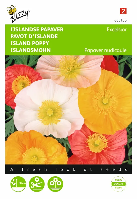 Nieuwe release | Buzzy® zaden - Papaver, IJslandse Excelsior gemengd