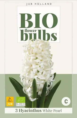 Biologische hyacintenbollen ‘White Pearl - 3 stuks | Nieuwe release