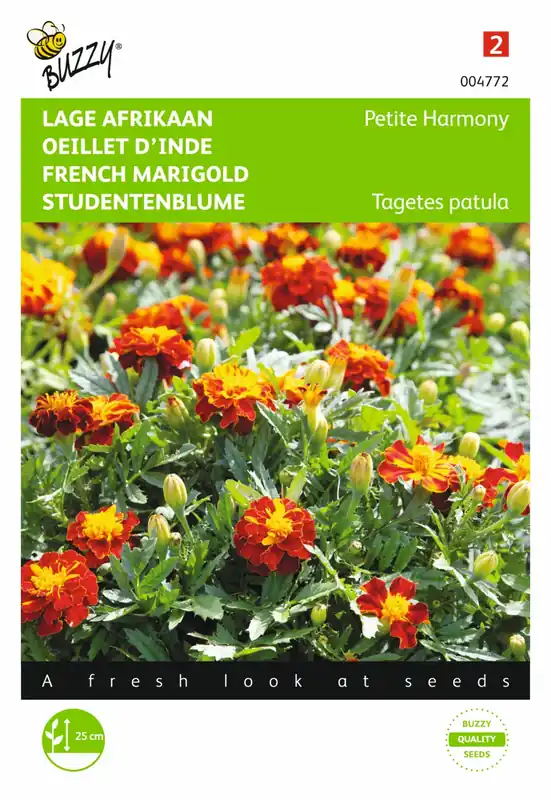 Nieuw in de shop | Buzzy® zaden - Tagetes, lage Afrikaan Petite Harmony