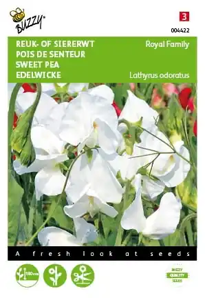 Flitsaanbieding | Buzzy® zaden - Lathyrus, Reuk- of siererwt Royal Family Wit