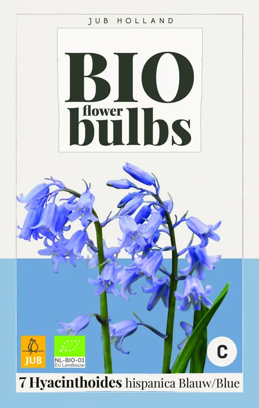 Hoge kwaliteit | Biologische hyacintenbollen ‘Hispanica Blauw - 7 stuks
