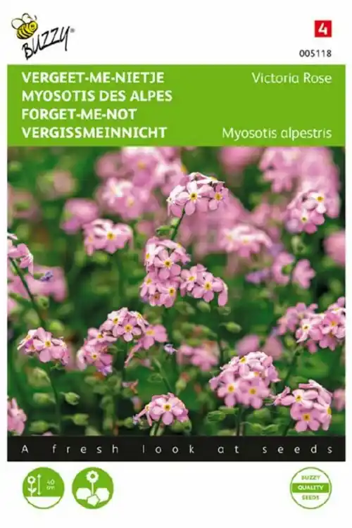 Fabrieksprijs - Buzzy® zaden - Myosotis ‘Vergeet-me-nietje‘ Victoria Rose