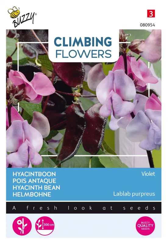 Nog maar een paar beschikbaar - Buzzy® zaden - Climbing Flowers - Dolichos lablab, Hyacinthboon