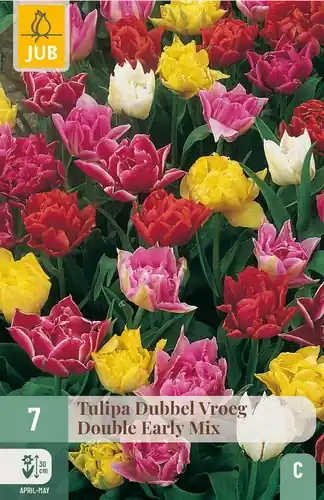 Nu beschikbaar - Tulpenbollen Dubbel Vroeg Mix - 7 stuks