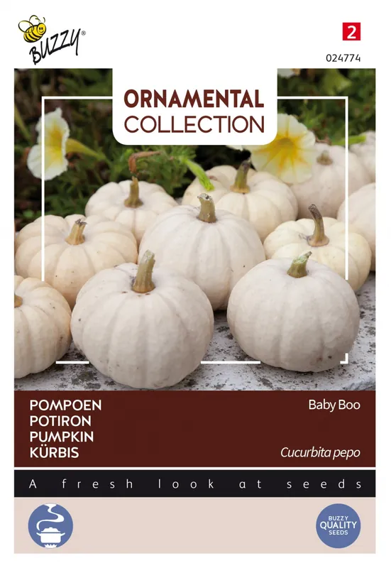 Buzzy® zaden - Ornamental Collection - Pompoen Baby Boo | Lage prijs