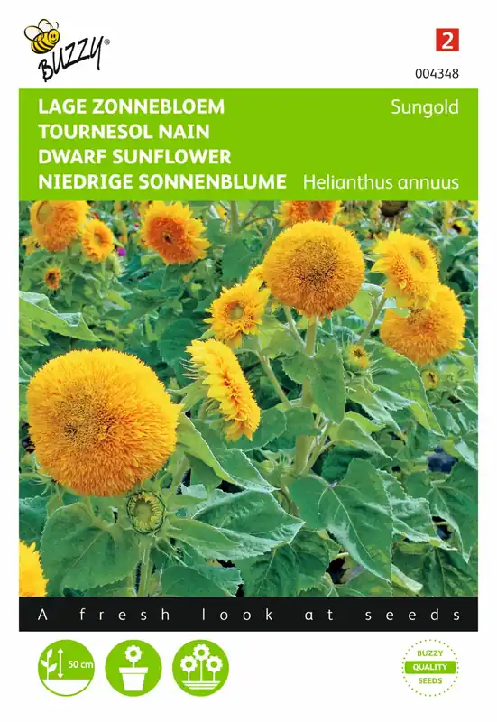 Gratis retourneren | Buzzy® zaden - Helianthus, Zonnebloem Sungold dubbelbloemig laag