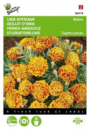 Dagdeal - Buzzy® zaden - Tagetes, lage Afrikaan Bolero