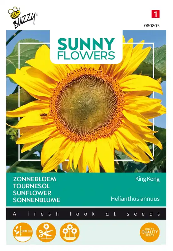 Direct kopen - Buzzy® zaden - Sunny Flowers, Zonnebloem King Kong