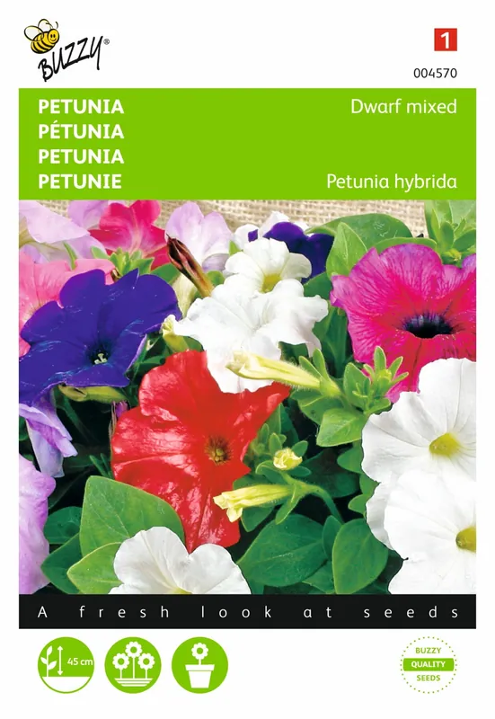 Buzzy® zaden - Petunia laag gemengd | Makkelijk bestellen