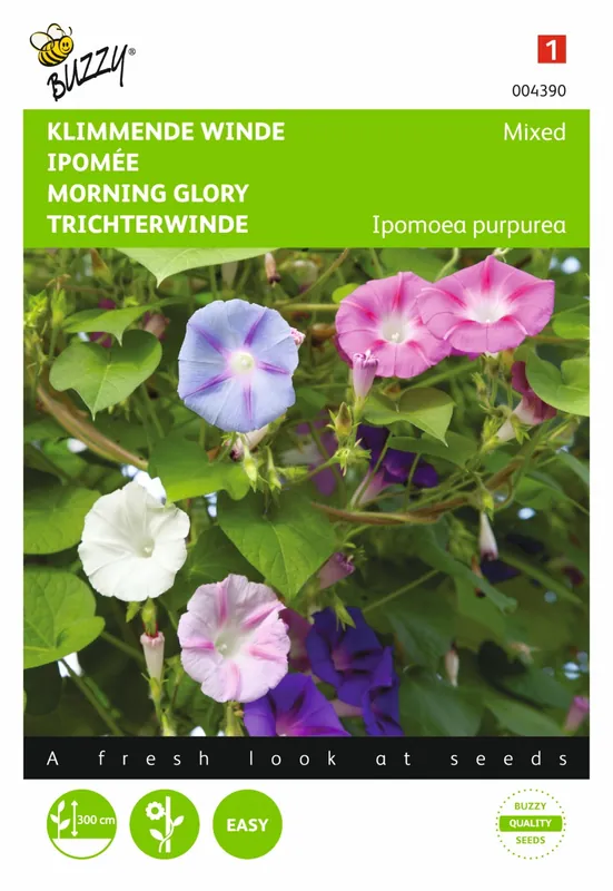 Buzzy® zaden - Ipomoea, Klimmende winde gemengd - Goed beoordeeld