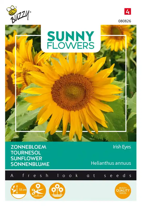 Buzzy® zaden - Sunny Flowers, Zonnebloem Irish Eyes | Hoog gewaardeerd