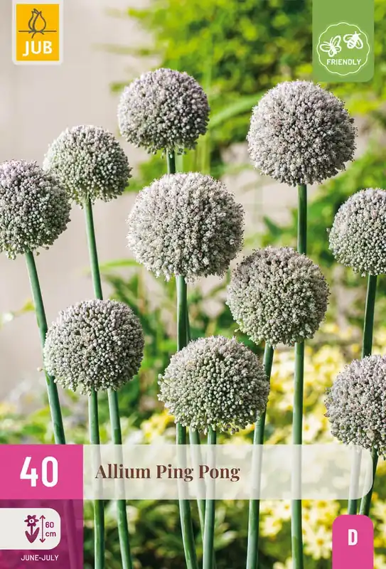 Rechtstreeks van de fabrikant | Allium Ping Pong - 40 bloembollen