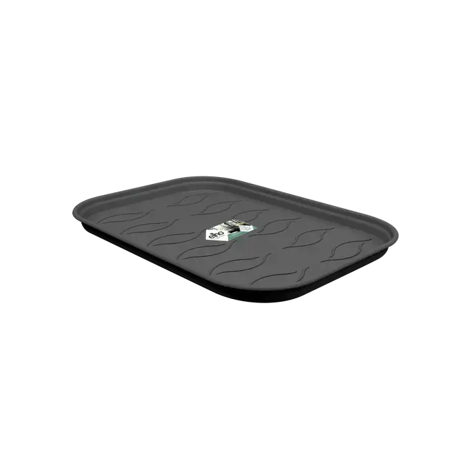 Elho Green Basics Kweektray Schotel S - Zwart - Scherp geprijsd