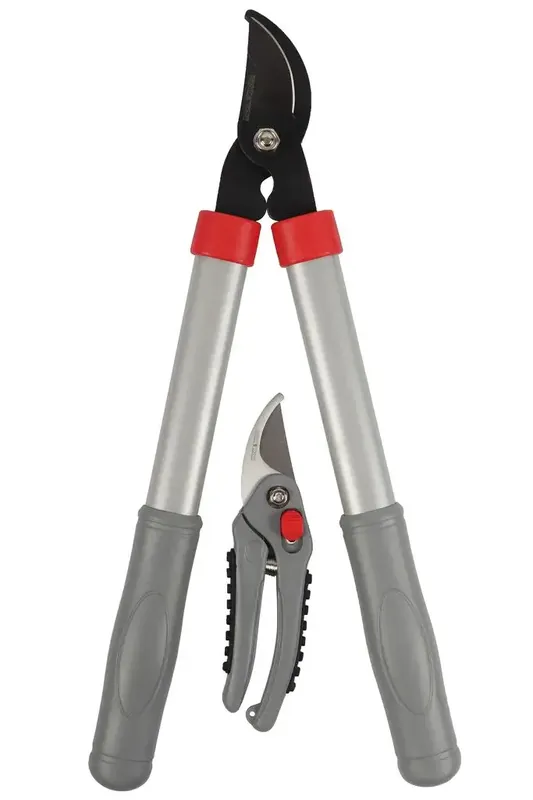 Talen Tools Snoeiset Takkenschaar/snoeischaar - Voorraad bijna op
