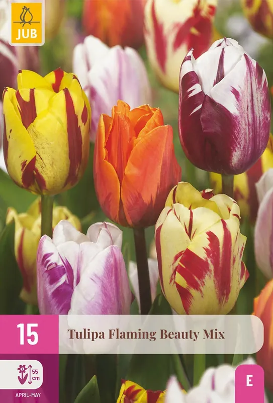 Zojuist toegevoegd - Tulpenbollen Flaming Beauty Mix - 15 stuks