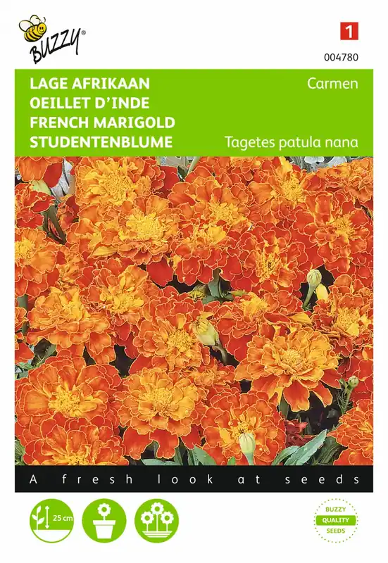 Buzzy® zaden - Tagetes, lage Afrikaan Carmen | Erg populair