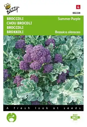 Korting - Buzzy® zaden - Broccoli Summer Purple