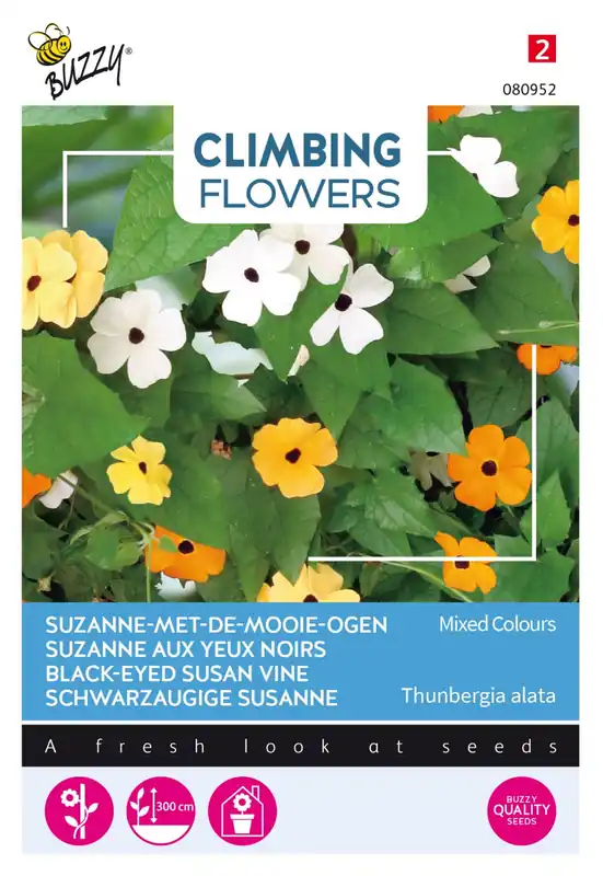 Nieuwe release - Buzzy® zaden - Climbing Flowers - Thunbergia, Suzanne-met-mooie-ogen