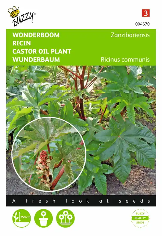 Erg populair | Buzzy® zaden - Ricinus, Wonderboom gemengd