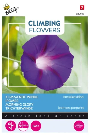 Aanrader - Buzzy® zaden - Climbing Flowers - Ipomoea Knowlians Black