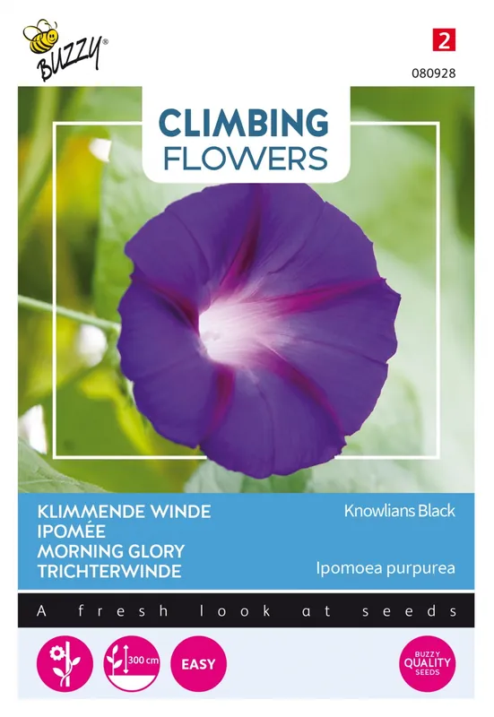 Aanrader - Buzzy® zaden - Climbing Flowers - Ipomoea Knowlians Black
