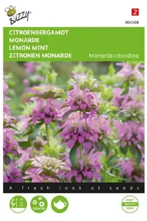 Zolang de voorraad strekt - Buzzy® zaden - Citroenbergamot Monarda Citriodora