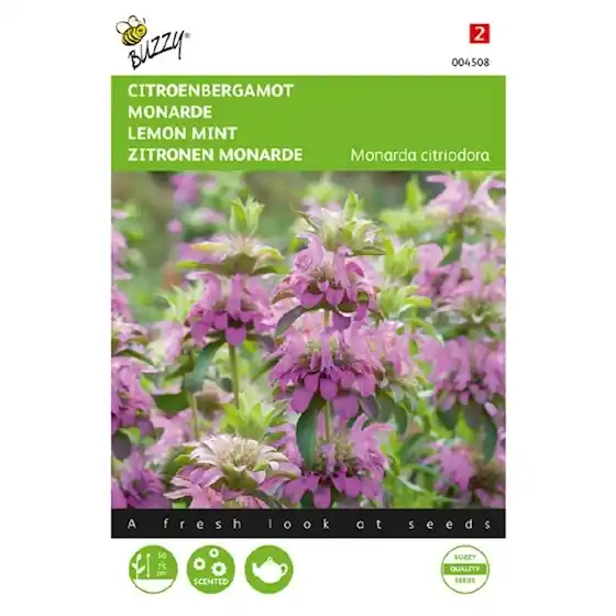 Zolang de voorraad strekt - Buzzy® zaden - Citroenbergamot Monarda Citriodora