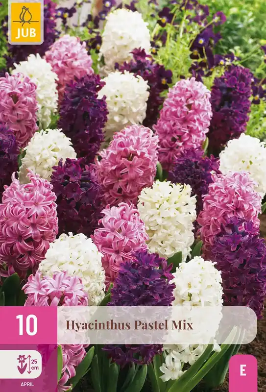 Prijsverlaging - Hyacinthus Pastel Mix - 10 bloembollen