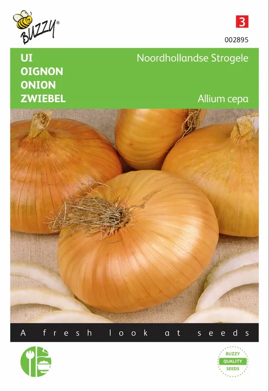 Buzzy® zaden - Ui Noordhollandse Strogele | Professionele kwaliteit