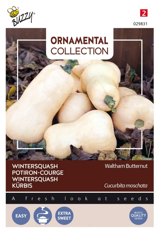 Speciale deal - Buzzy® zaden - Ornamental Wintersquash Waltham Butternut