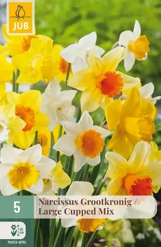 Narcissus Grootkronig Mix - 5 bloembollen - Speciale aanbieding