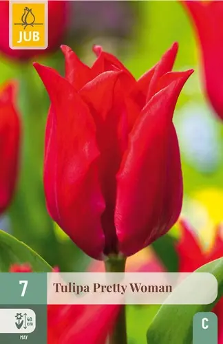 Tulpenbollen Pretty Woman - 7 stuks | Topdeal