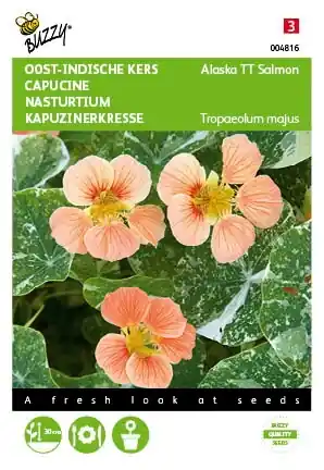 Buzzy® zaden - Tropaeolum, Oost-indische kers Alaska TT Salmon - Professionele kwaliteit