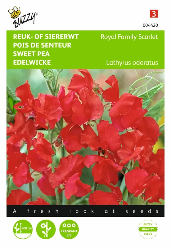 Snelle verzending - Buzzy® zaden - Lathyrus, Reuk- of siererwt Royal Family Scarlet