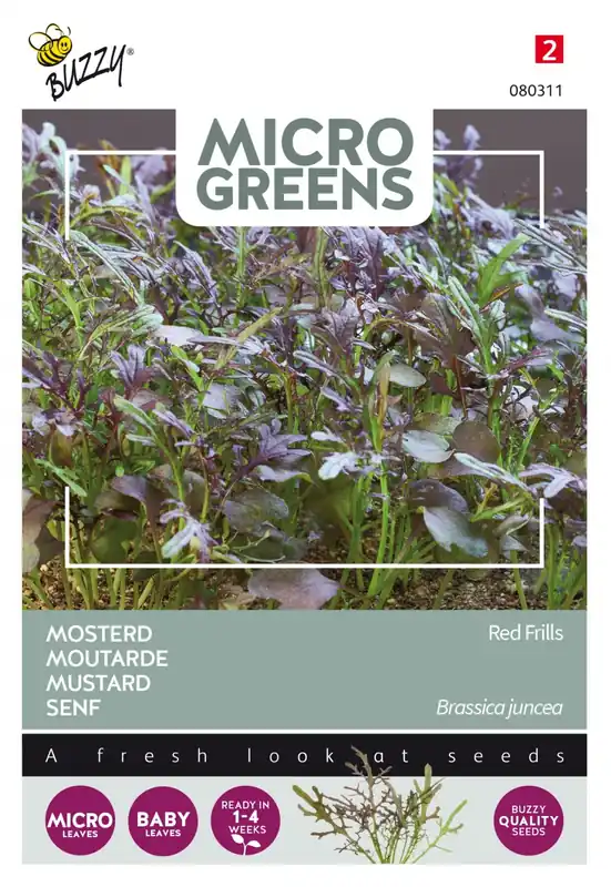 Direct leverbaar - Buzzy® zaden - Microgreens, Mosterd Red Frills