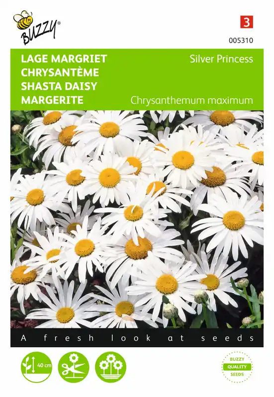 Buzzy® zaden - Chrysanthemum, Lage Margriet Silver Princess - Zolang de voorraad strekt