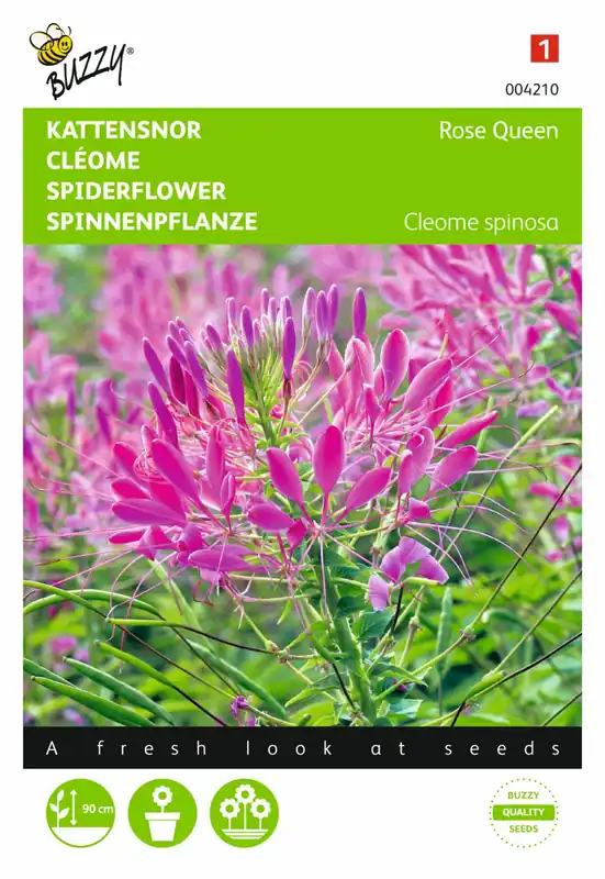 Buzzy® zaden - Cleome, Kattensnor Rose Queen - Veilig betalen