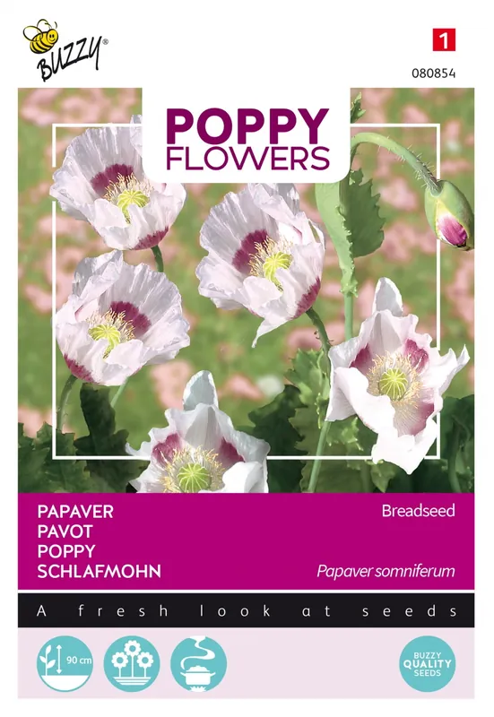 Buzzy® zaden - Poppy Flowers, Papaver Blauwmaanzaad - Meest verkocht