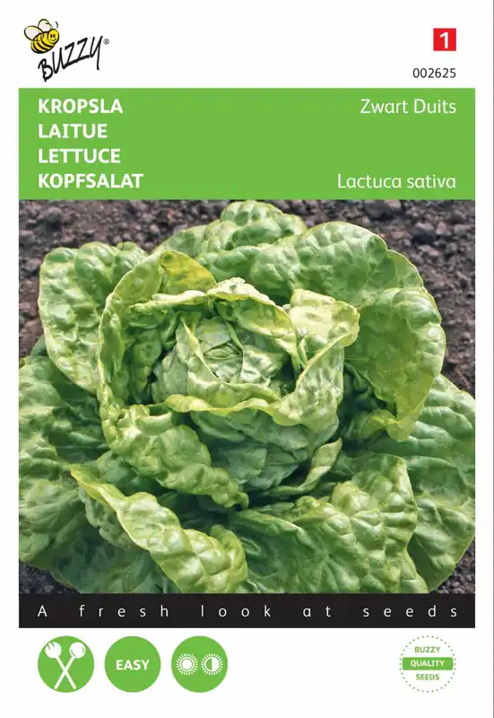 Nieuw in het assortiment | Buzzy® zaden - Kropsla Zwart Duits