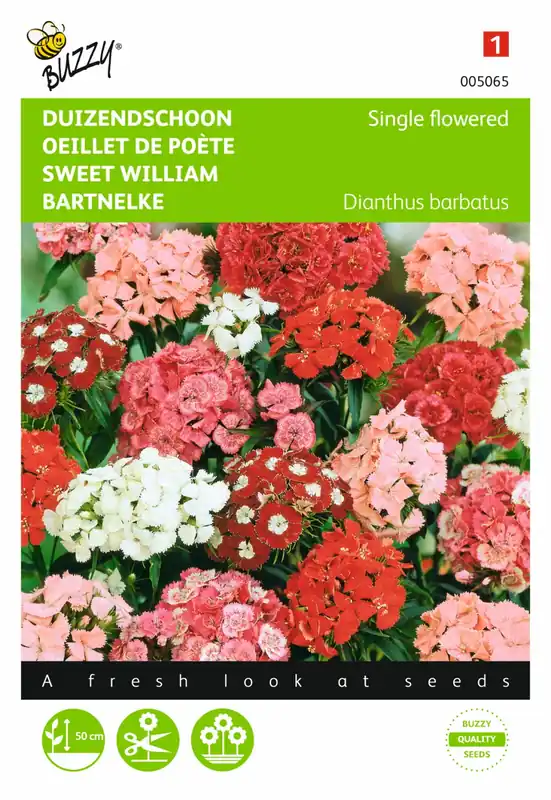Buzzy® zaden - Dianthus, Duizendschoon enkelbloemig gemengd | Koop vandaag